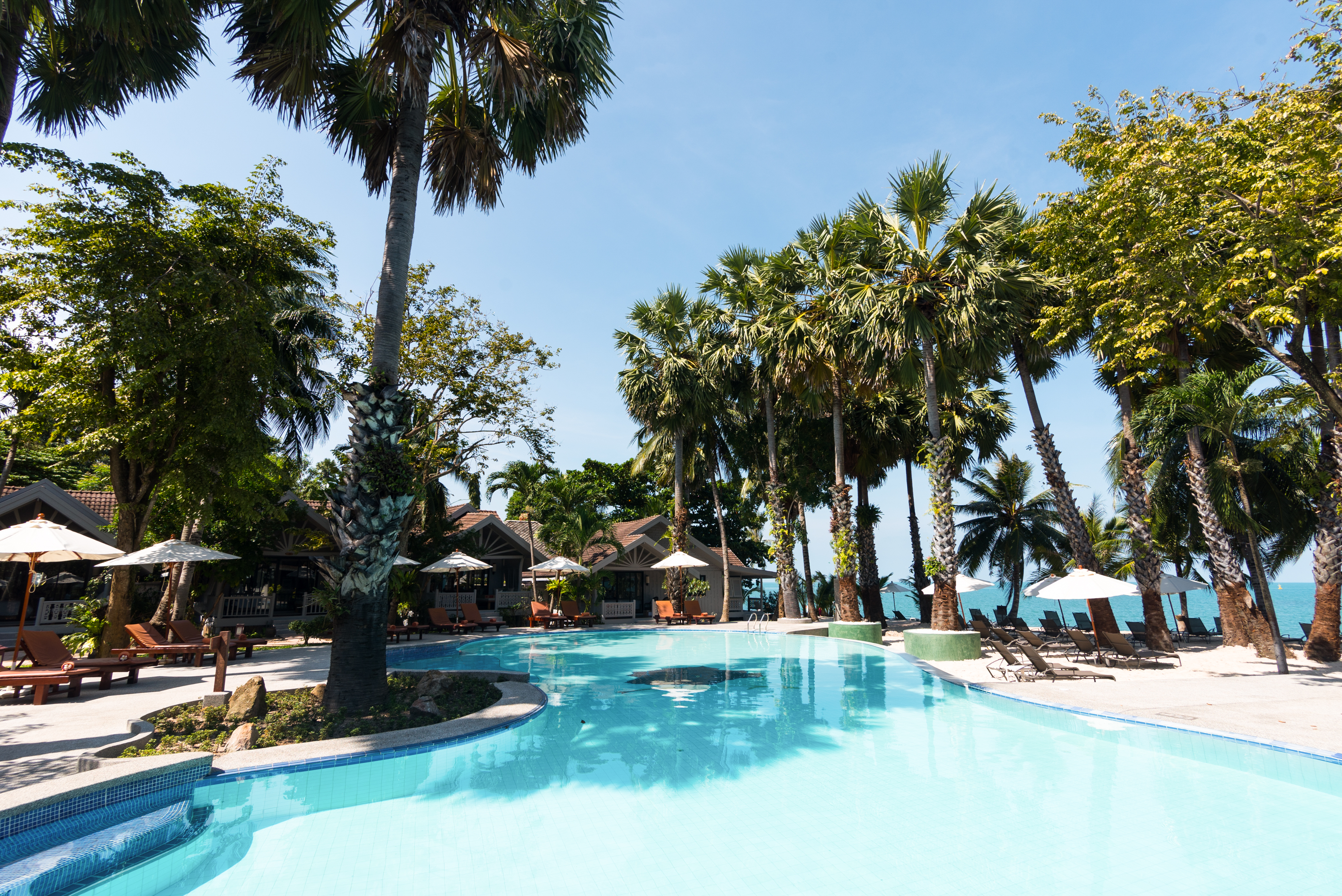 Paradise Beach Resort | Hotels in Koh Samui | Thailand Holidays | Letsgo2